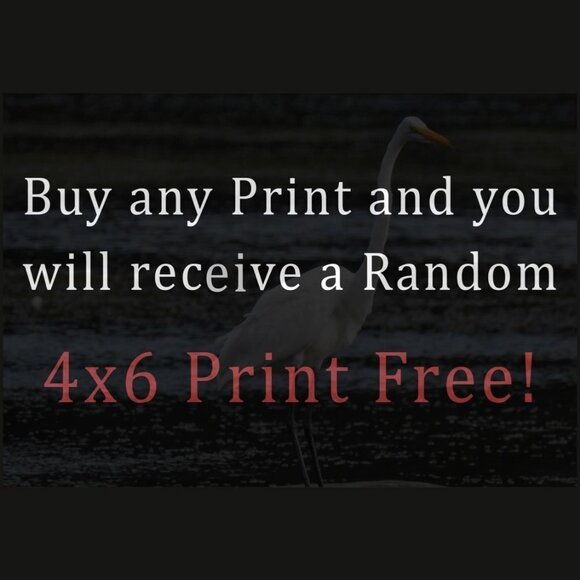 Three 5x7 Prints Framed‎ Art Bundle - Picture 9 of 9